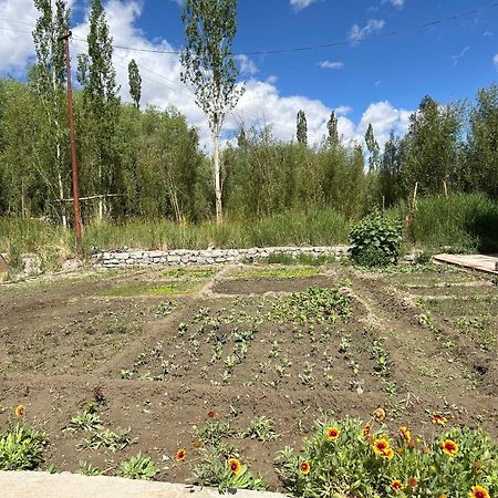 Nature Palace Farmstay She Экстерьер фото